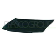 CI9153100_1.JPG Cofano Per Citroen Berlingo Dal 1996 Al 2002