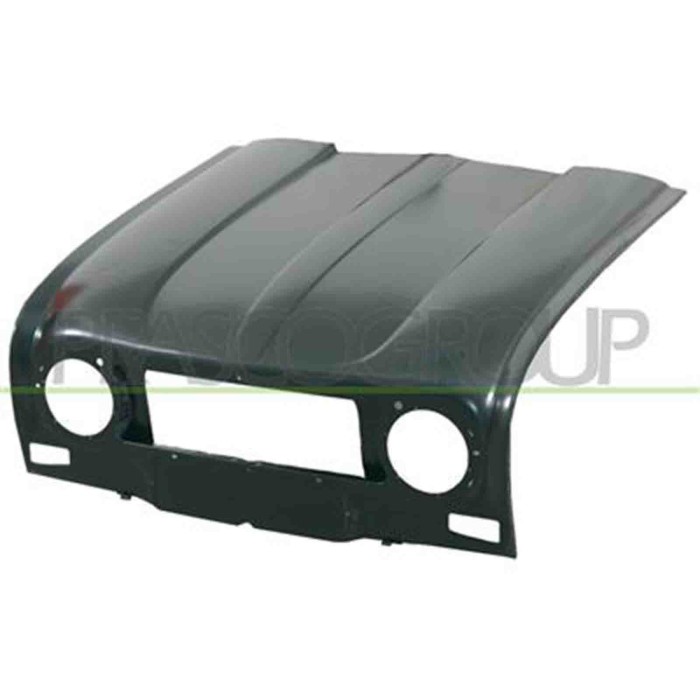RN0013120_1.JPG Cofano Per Renault 4 Dal 1968 Al 1992