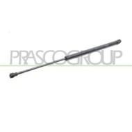 TY3209053_2.JPG Molla A Gas Destra Portellone Posteriore Per Toyota Yaris Dal 1999 Al 2003