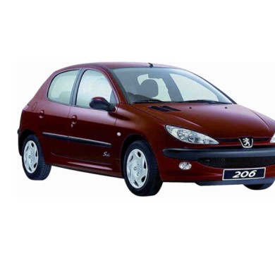45820.JPG Gruppo Ottico Laterale Arancio Per Peugeot 206 Dal 1998/09 Al 2003/04