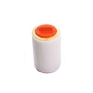 FA0543.JPG Filtro Aria Mini Mini (r56) Fa0543 13718509032 Cartuccia Filtro Bremsi