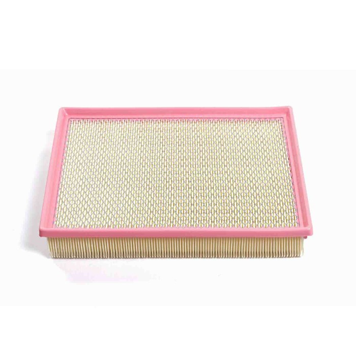 FA0579.JPG Filtro Aria Opel Vectra C Gts Vectra C Station Wagon Vectra C Signum 2 Volumi/coda Spiovente Fiat Croma Fa0579 244470