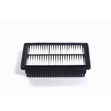 FA0601.JPG Filtro Aria Hyundai I20 I20 Active I20 Coupú Fa0601 28113c8000 Cartuccia Filtro Bremsi