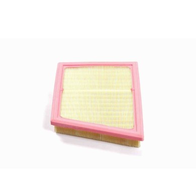 FA1168.JPG Filtro Aria Bmw 1 (f40) Fa1168 13 71 7 619 267 Cartuccia Filtro Bremsi