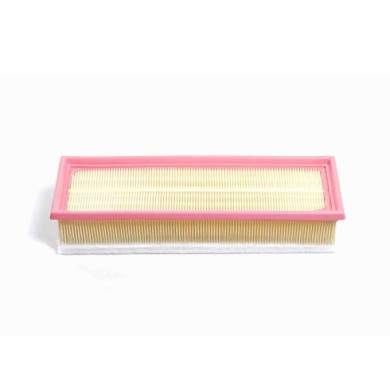 FA1234.JPG Filtro Aria Bmw 5 Touring 5 X5 X4 X3 Fa1234 13 71 8 570 043 Cartuccia Filtro Bremsi