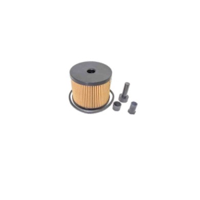 FE0339.JPG Filtro Carburante Citroen Xsara Picasso (n68) Fe0339 190162 Cartuccia Filtro Bremsi