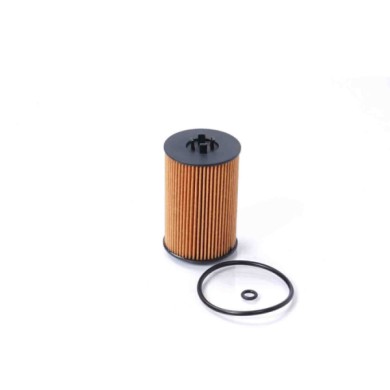 FL0021.JPG Filtro Olio Audi Q3 Sportback (f3n) Fl0021 Cartuccia Filtro Bremsi