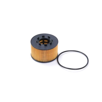 FL0259.JPG Filtro Olio Jaguar X-type I (x400) Fl0259 Jde 2464 Cartuccia Filtro Bremsi