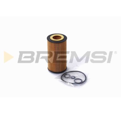 FL0690_1.jpg Filtro Olio Mercedes-benz Classe S Coupú (c215) Fl0690 000 180 22 09 Bremsi