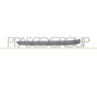 GUIDA_ALLA_SCELTA.JPG Modanatura Destra Per Bmw 3 Series - E46 Dal 1998 Al 2001