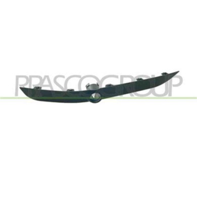 GUIDA_ALLA_SCELTA.JPG Modanatura Destra Per Bmw X5 - E53 Dal 2000 Al 2006