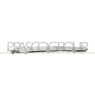 Modanatura Destra Paraurti Anteriore Argento Per Bmw X5 - E70 Dal 2007 Al 2010