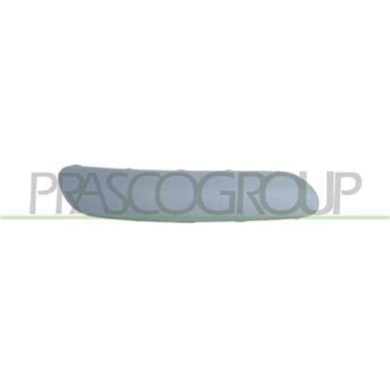 GUIDA_ALLA_SCELTA.JPG Modanatura Destra Per Citroen C3 Dal 2002 Al 2005