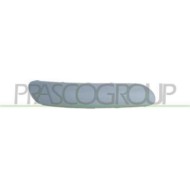 Modanatura Destra Per Citroen C3 Dal 2002 Al 2005
