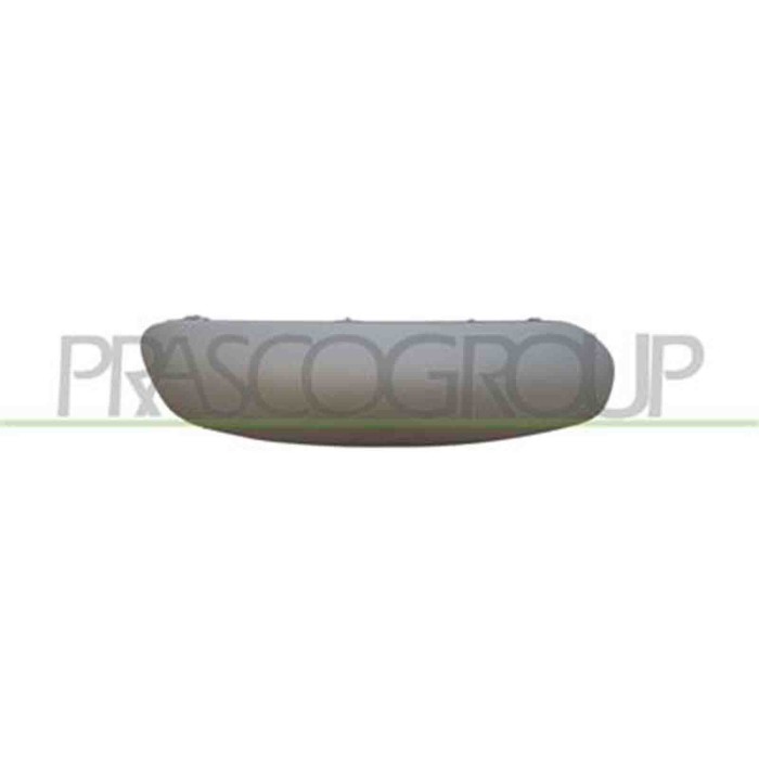 GUIDA_ALLA_SCELTA.JPG Modanatura Destra Con Primer Per Citroen C3 Dal 2005 Al 2009