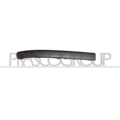 GUIDA_ALLA_SCELTA.JPG Modanatura Destra Per Renault Clio Dal 2005 Al 2009