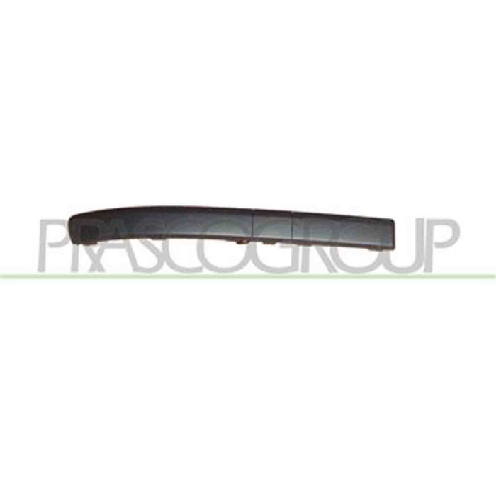 GUIDA_ALLA_SCELTA.JPG Modanatura Destra Per Renault Clio Dal 2005 Al 2009