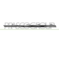 GUIDA_ALLA_SCELTA.JPG Modanatura Sinistra Per Volkswagen Passat B6 Dal 2005 Al 2010