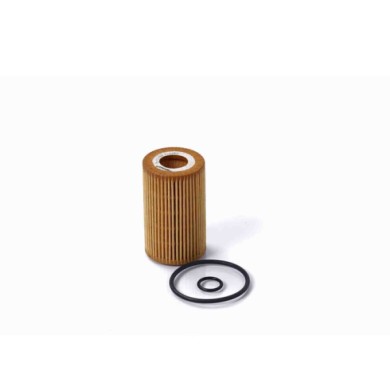 FL0262.JPG Filtro Olio Renault Twingo I Cassone / Coda Spiovente (s06) Fl0262 77 00 126 705 Bremsi