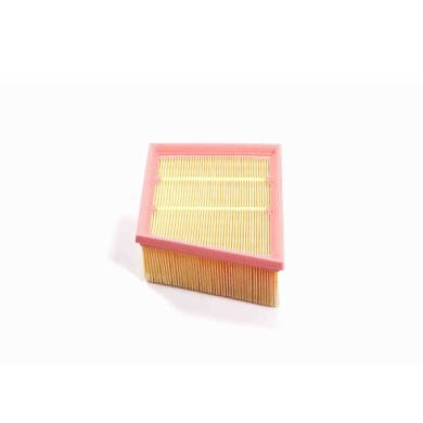 FA0556.JPG Filtro Aria Ford Fiesta Vii (hj Hf) Fa0556 2066235 Cartuccia Filtro Bremsi