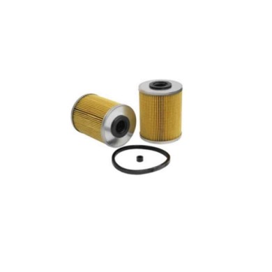 FE0153.JPG Filtro Carburante Opel Zafira A Mpv / Space Wagon (t98) Fe0153 818531 Bremsi