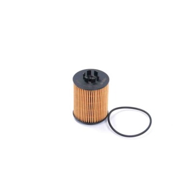FL0011.JPG Filtro Olio Opel Astra H Station Wagon (a04) Fl0011 650307 Cartuccia Filtro Bremsi