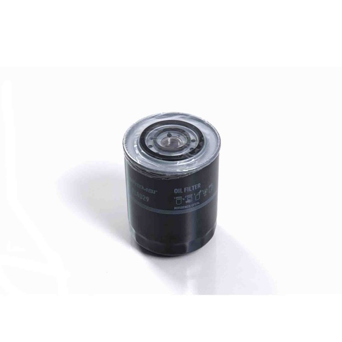 FL0029.JPG Filtro Olio Fiat Ducato Pianale Piatto/telaio (230) Fl0029 1900823 Bremsi