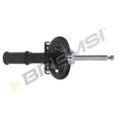 SA0508.JPG Ammortizzatore Anteriore Renault Megane Iii Coupú (dz0/1) A Doppio Tubo Sa0508 543020008r Ammortizzatore Tipo Mcphers