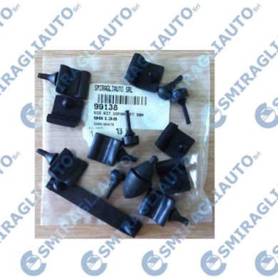 145268-large_default.jpg Eco Kit Cofani Fiat 500