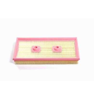 FA1021.JPG Filtro Aria Volkswagen Eos (1f7 1f8) Fa1021 Cartuccia Filtro Bremsi
