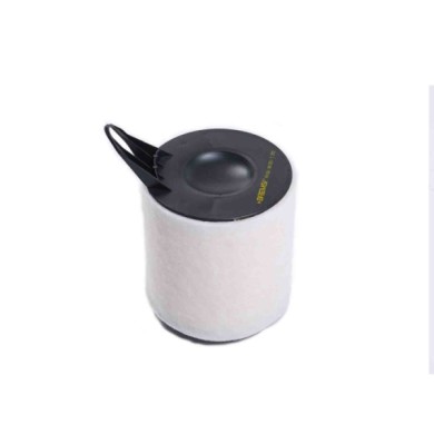 FA1061.JPG Filtro Aria Bmw 1 3 Coupú 3 Fa1061 13 71 7 524 412 Cartuccia Filtro Bremsi