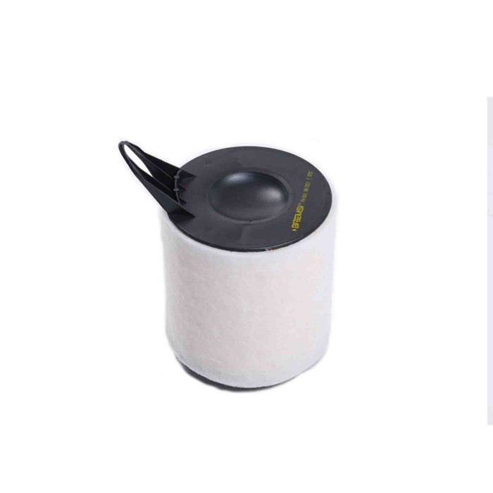 FA1061.JPG Filtro Aria Bmw 1 3 Coupú 3 Fa1061 13 71 7 524 412 Cartuccia Filtro Bremsi