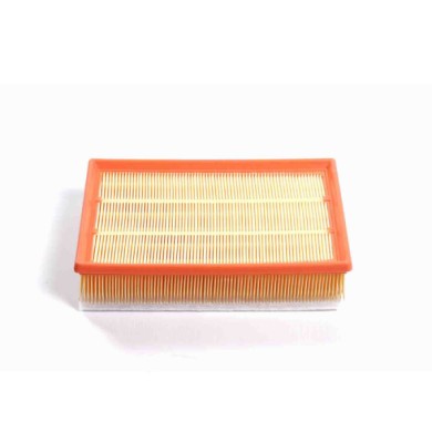 FA1125.JPG Filtro Aria Ford Transit V363 Furgonato (fcd Fdd) Fa1125 2012 001 Bremsi