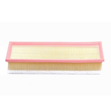 FA1160.JPG Filtro Aria Citroen C2 Enterprise (jg) Fa1160 1444 Ef Cartuccia Filtro Bremsi