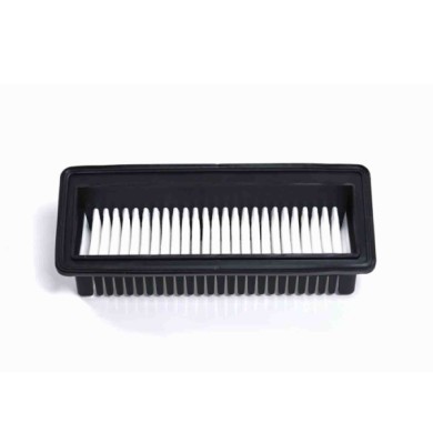 FA1198.JPG Filtro Aria Hyundai I10 Fa1198 28113-0x200 Cartuccia Filtro Bremsi