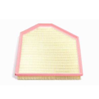 FA1219.JPG Filtro Aria Bmw X3 X4 Fa1219 13 71 7 601 868 Cartuccia Filtro Bremsi