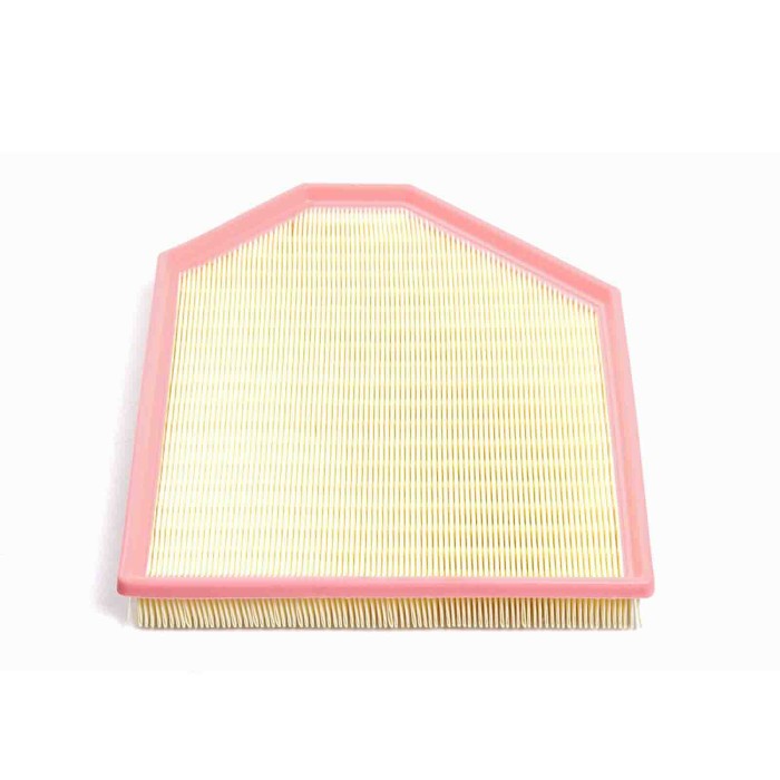 FA1219.JPG Filtro Aria Bmw X3 X4 Fa1219 13 71 7 601 868 Cartuccia Filtro Bremsi