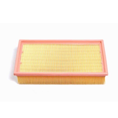 FA1223.JPG Filtro Aria Jaguar Xj Xf S-type Xf Sportbrake Fa1223 2w93-9601-ac Bremsi