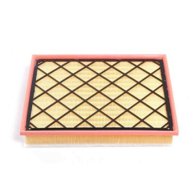 FA1231.JPG Filtro Aria Bmw X6 X5 Fa1231 13 71 7 798 342 Cartuccia Filtro Bremsi