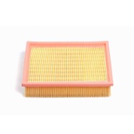 FA1243.JPG Filtro Aria Rover 400 Tourer 400 200 2 Volumi/coda Spiovente Fa1243 Gfe 1140 Bremsi
