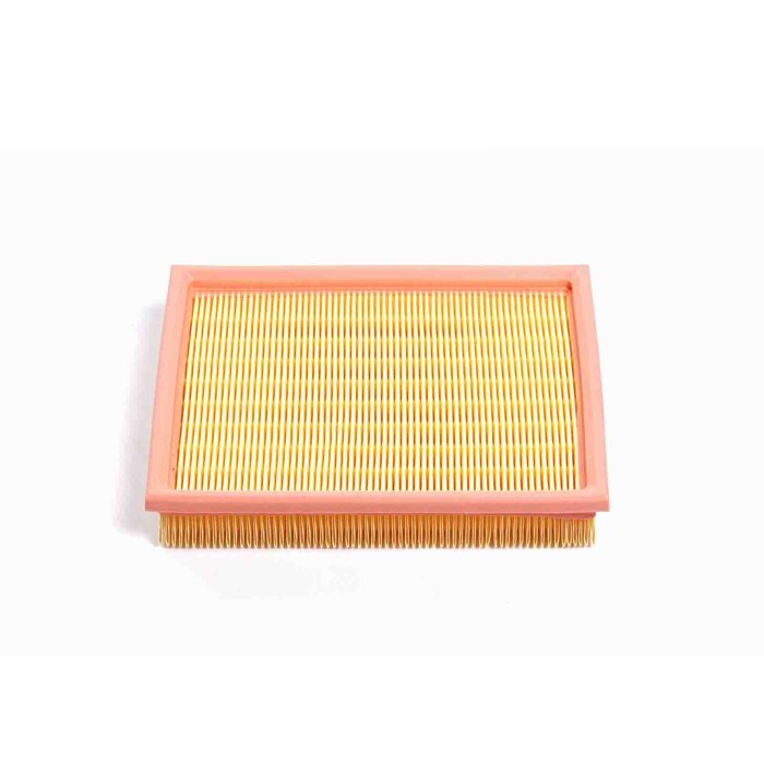 FA1250.JPG Filtro Aria Opel Tigra (s93) Fa1250 5834037 Cartuccia Filtro Bremsi