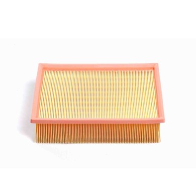 FA1349.JPG Filtro Aria Citroen C4 I Cassone / Coda Spiovente (lr) Fa1349 1444 Fg Bremsi