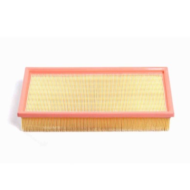 FA1624.JPG Filtro Aria Bmw 5 Touring 5 Fa1624 Cartuccia Filtro Bremsi