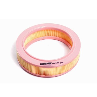 FA1631.JPG Filtro Aria Aro 10 Fa1631 Cartuccia Filtro Bremsi