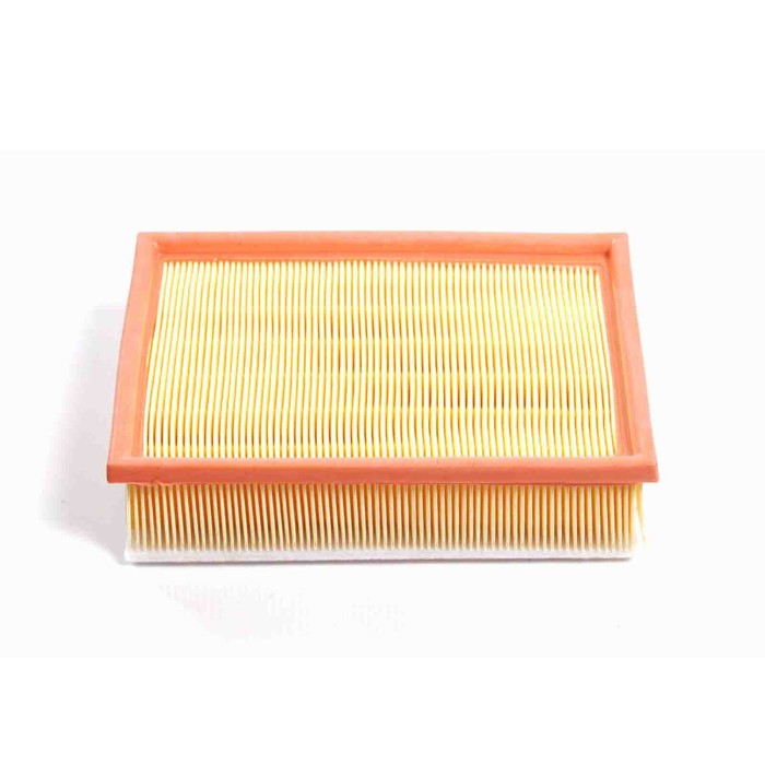 FA1650.JPG Filtro Aria Bmw 3 Coupú (e46) Fa1650 13 72 1 744 869 Cartuccia Filtro Bremsi