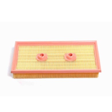 FA1697.JPG Filtro Aria Volkswagen Golf Plus V Golf V Touran Polo Fa1697 Cartuccia Filtro Bremsi