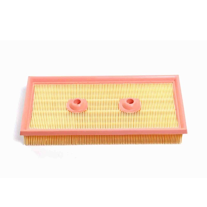 FA1697.JPG Filtro Aria Volkswagen Golf Plus V Golf V Touran Polo Fa1697 Cartuccia Filtro Bremsi