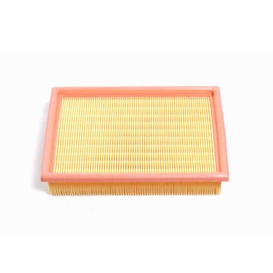FA2006.JPG Filtro Aria Pontiac Trans Sport Opel Sintra Cadillac Seville Chevrolet Lumina Apv Mpv/space Wagon Trans Sport Fa2006 