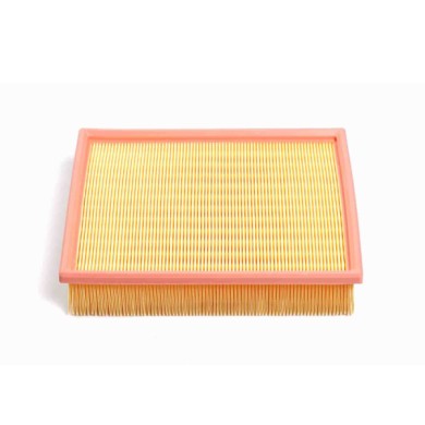 FA2040.JPG Filtro Aria Land Rover Discovery I Range Rover I Fa2040 Esr1445 Cartuccia Filtro Bremsi