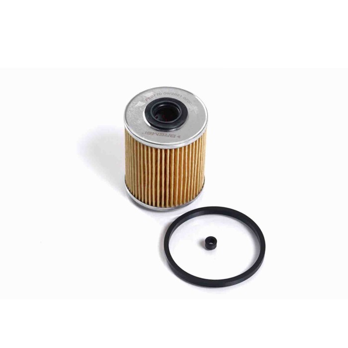 FE0770.JPG Filtro Carburante Citroen Xm (y4) Fe0770 1906 53 Cartuccia Filtro Bremsi